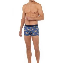 Hom Boxer Big Bisous -Zimmerli Geschäft 0da76f45 0005 561a 8035 46fc904b8054