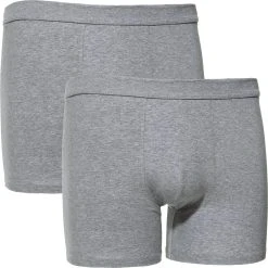 Erwin Müller Slip Herren-Pants 2er-Pack (2-St) Single-Jersey Uni