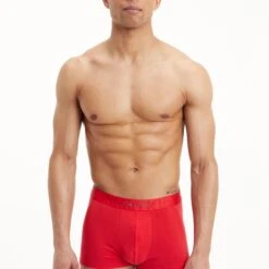 Calvin Klein Underwear Boxer Mit Logoschriftzug Am Wäschebund