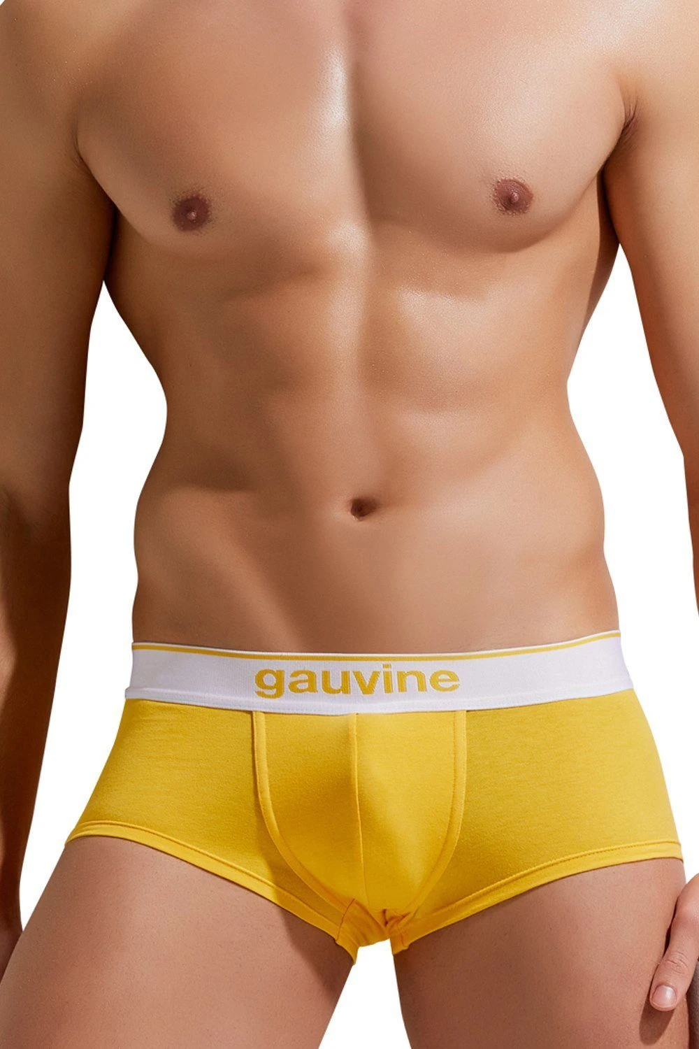 GAUVINE Hipster 3 GAUVINE Hipster