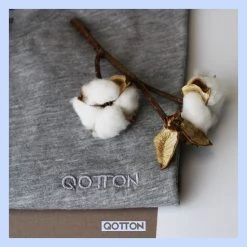 Qotton Pyjama Qotton Herren Jogger Schlafanzugset Grau Hose + Tshirt Aus Bester Baumwolle (1 Tlg., Hose + Tshirt) -Zimmerli Geschäft 1cc7f6ce ca89 4468 863a bfb93638cd8f