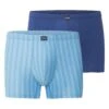 CECEBA Langer Boxer CECEBA Herren Long-Pants Blau Längsgestreift 2er P (2-St) -Zimmerli Geschäft 2467ad6d 20d4 5f89 92e8 035b396e305c scaled