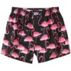 Lousy Livin Boxershorts Flamingos - Black -Zimmerli Geschäft 51790a1f 2ba6 557e b699 6b4b4c914e58