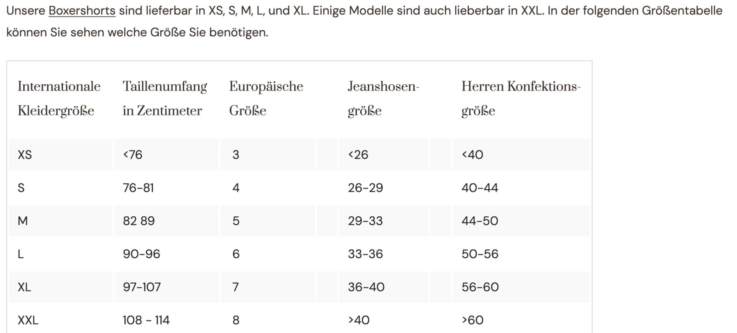 Champion Boxershorts BOXER CHAMPION 5 Champion Boxershorts BOXER CHAMPION – Bild 3