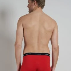 CECEBA Boxershorts CECEBA Herren Pants Rot Uni 6er Pack (6-St) 7 CECEBA Boxershorts CECEBA Herren Pants Rot Uni 6er Pack (6-St) -Zimmerli Geschäft 625d1f75 d391 589d b723 03b988784b24 scaled