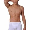 Hom Boxer Herren H01 Original New Boxer Brief Core Business