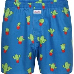 Sugar Pine Boxer Kaktus (mit Vintagewaschung)