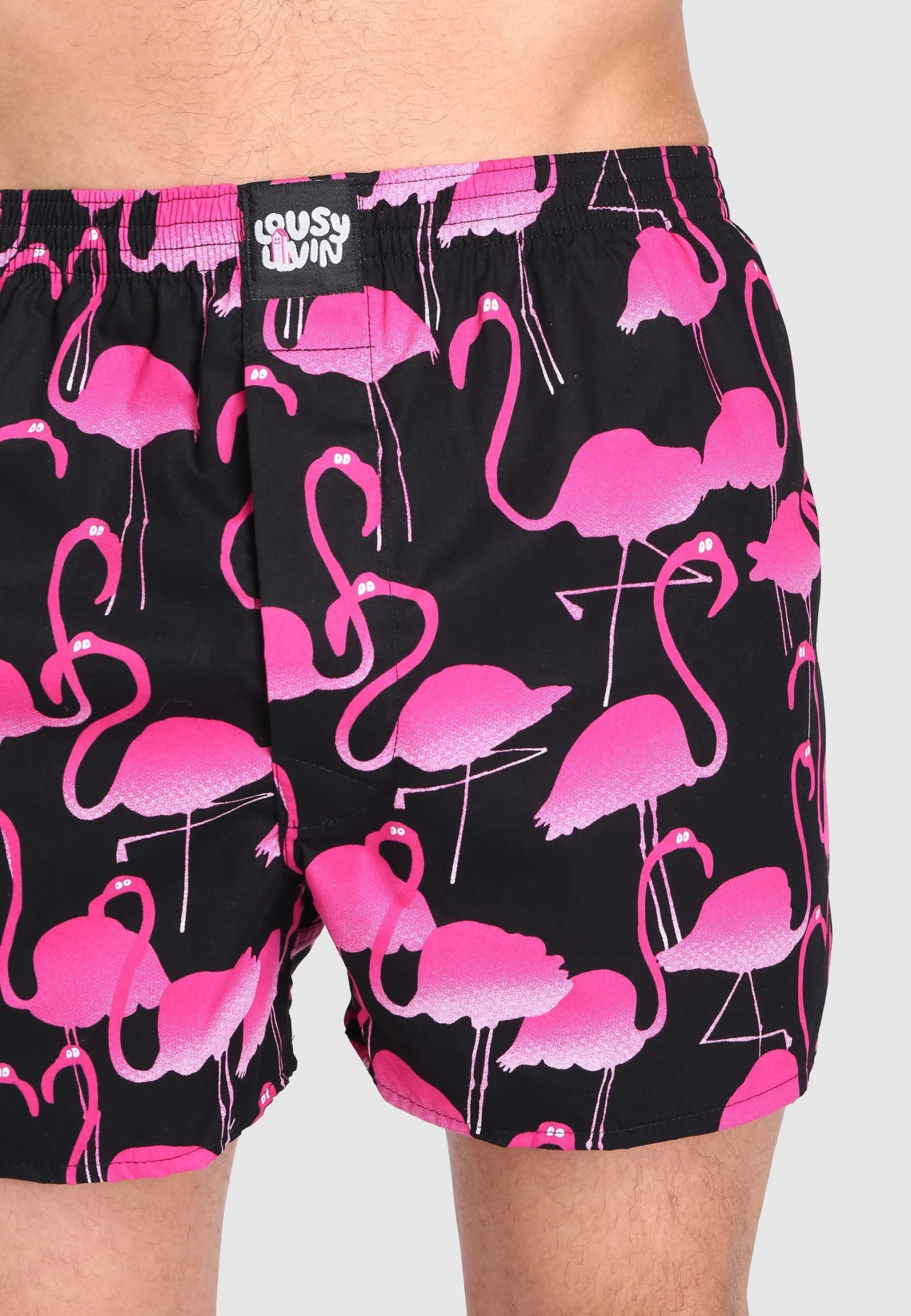 Lousy Livin Boxershorts Flamingo Mit Trendigem Flamingo-Print 6 Lousy Livin Boxershorts Flamingo Mit Trendigem Flamingo-Print – Bild 4