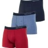 HAASIS Bodywear 1919 Retro Pants Herren Pants 77375413-multi-colored (Packung, 3-St., 3er Pack) Hochwertige Herrenpants In Optimaler Paßform, Pflegeleicht, Formbeständig, Strapazierfähig Aus 95% Hautsympathischer Baumwolle -Zimmerli Geschäft 9c0f6662 b0da 52ec 9cc5 73fd858b031a