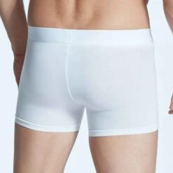 Zimmerli Of Switzerland Boxer New Boxer (1-St) -Zimmerli Geschäft a0058316 84ab 53fa ba19 24fae3382ad5 scaled