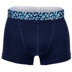 Hom Boxer Herren Trunks - H01, Boxer Briefs, Baumwolle -Zimmerli Geschäft a2538a59 a974 5cf0 b0ce 1e64e294eed4