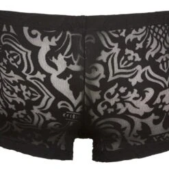 Svenjoyment Underwear Boxershorts Boxershorts Aus Transparenter Spitze -Zimmerli Geschäft dcae1b9a d03e 5ea6 b685 fc4d5bb5caee